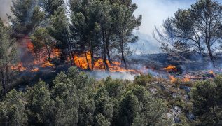 Wildfire loses intensity in southern France, firefighters continue battle