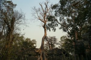 Thai-Cambodian fighting extends into third day despite ceasefire calls