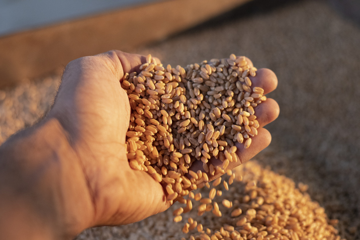 India implements World’s largest grain storage plan in cooperative sector