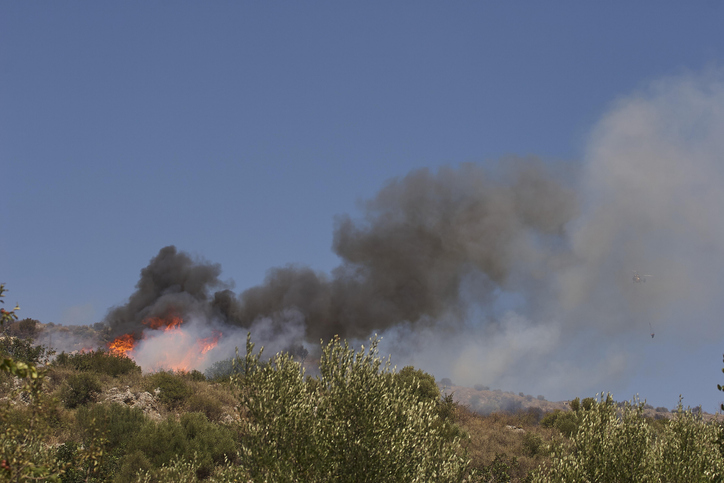 Wildfire on Greek island of Crete scorches forest, forces evacuation of over 1,000