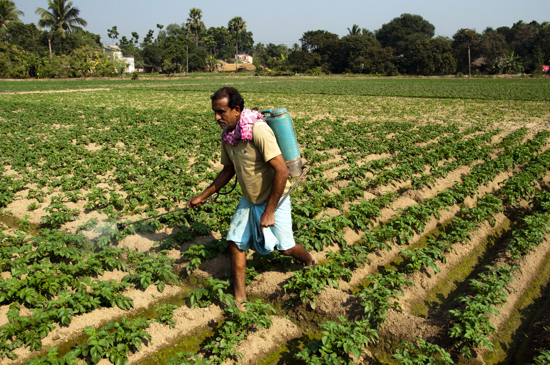PM Modi shares article on reforms and farmer-centric initiatives driving agricultural growth