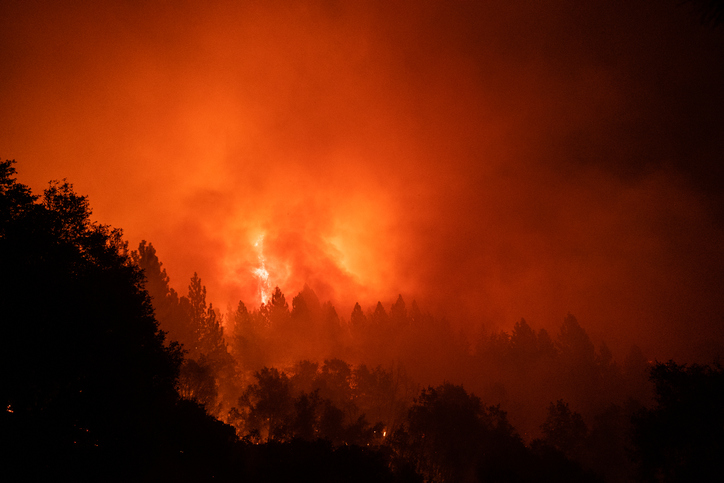 In landmark opinion, World Court says countries must address climate change