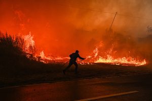 Portugal battles three large wildfires in sweltering summer heat