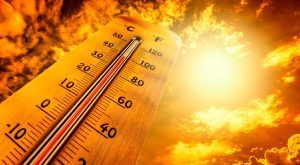 European heatwave caused 2,300 deaths, scientists estimate