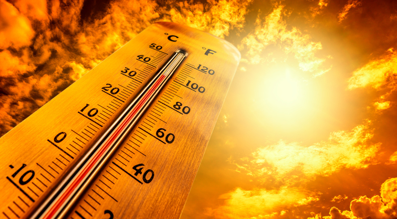 European heatwave caused 2,300 deaths, scientists estimate