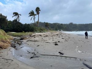 New Zealand braces for severe weather as storm threatens flooding