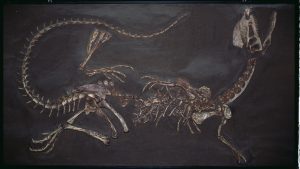 Arizona fossils reveal an ecosystem in flux early in the age of dinosaurs
