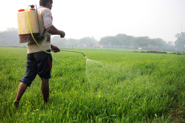 Cabinet clears ₹6,520 crore outlay for PM Kisan Sampada Yojana till FY26