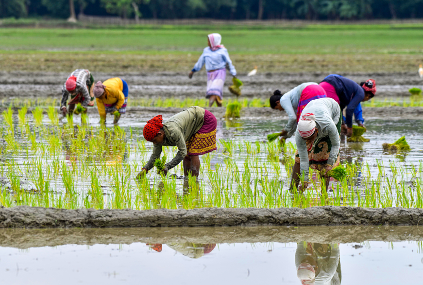 Cabinet approves PM Dhan-Dhaanya Krishi Yojana to boost agricultural productivity