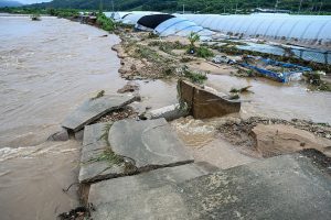 South Korea lashed by heavy rain, four dead and more than 1,000 evacuated