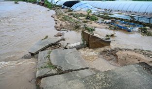 South Korea lashed by heavy rain, four dead and more than 1,000 evacuated