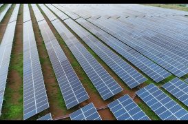India showcases carbon credit trading scheme at WTO Trade and Environment Week