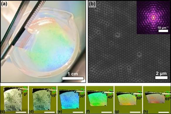 How tiny plastic beads are helping scientists create colour-shifting materials