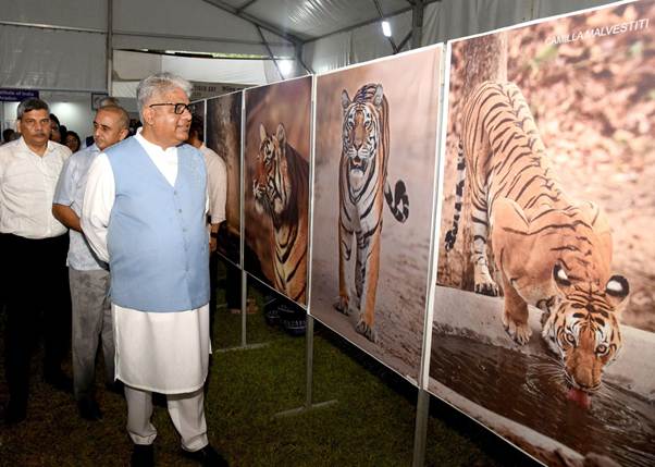 India’s tiger reserves rise from 46 to 58 since 2014: Bhupender Yadav