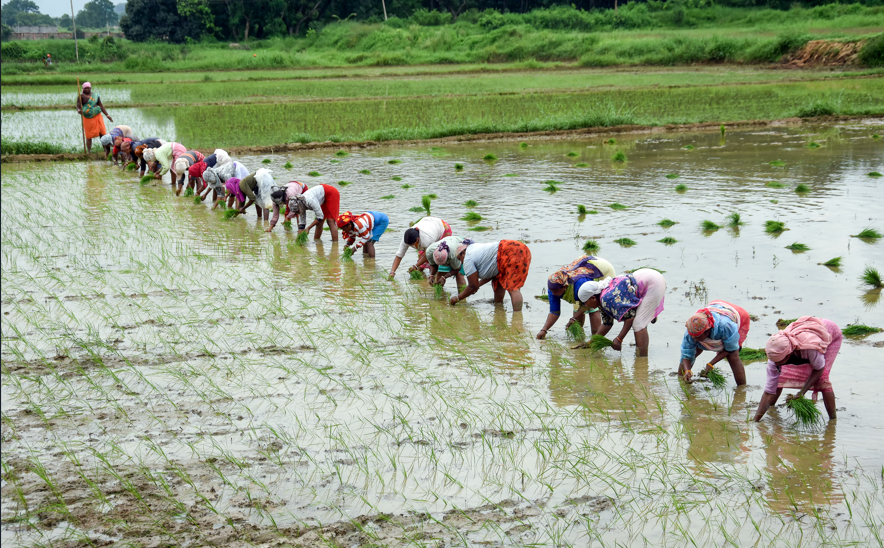 Monsoon remains central to India’s economy, culture, climate resilience