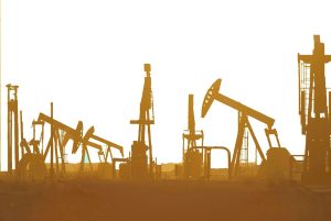 India sees renewed surge in oil and gas exploration, focus on Andaman deepwater region: Hardeep Puri