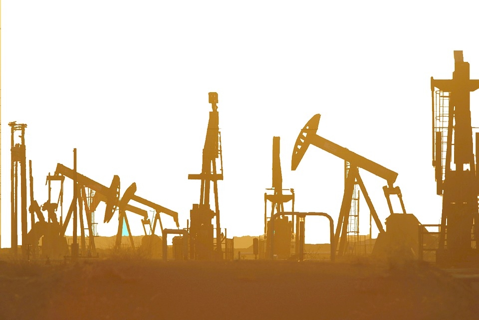 India sees renewed surge in oil and gas exploration, focus on Andaman deepwater region: Hardeep Puri