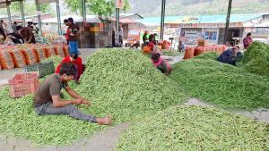 India’s average inflation falls 3% in 11 years of Modi government