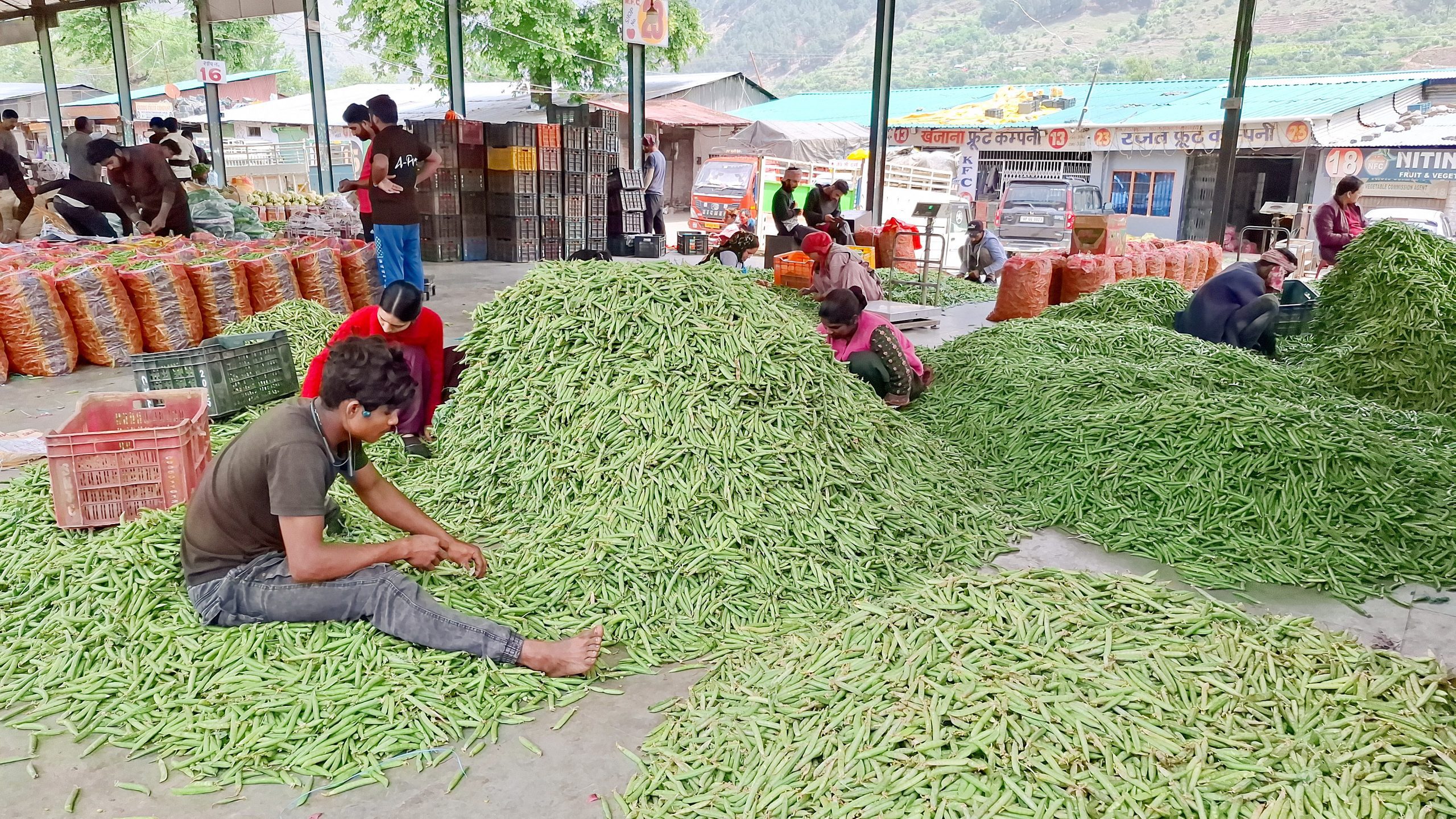 India’s average inflation falls 3% in 11 years of Modi government
