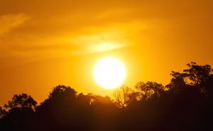 'Urgent action' needed to protect workers from heat stress in warming world, UN says