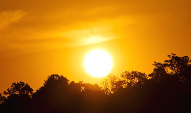 IMD issues five-day heatwave warning for Madhya Pradesh, advises precautions