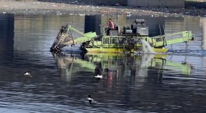 Significant progress in river rejuvenation efforts, but sewage gaps persist: Monitoring Panel