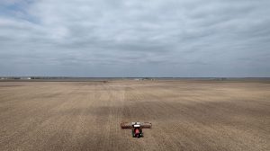 US losing out on China soybean sales as Brazil fills key supply period
