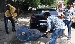 SC modifies stray dog order, allows return after sterilisation and vaccination