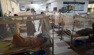 Bangladesh dengue deaths top 100, August could be worse