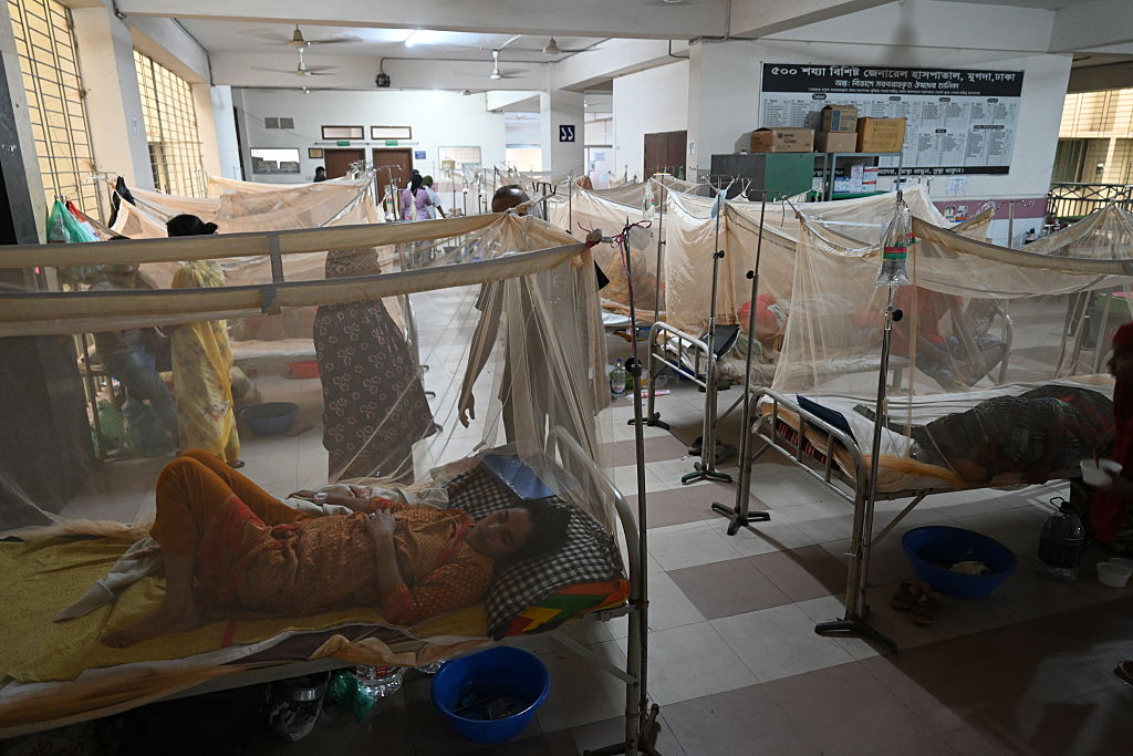 Bangladesh dengue deaths top 100, August could be worse