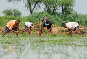 Agriculture Infrastructure Fund: Huge push to India’s agri infra
