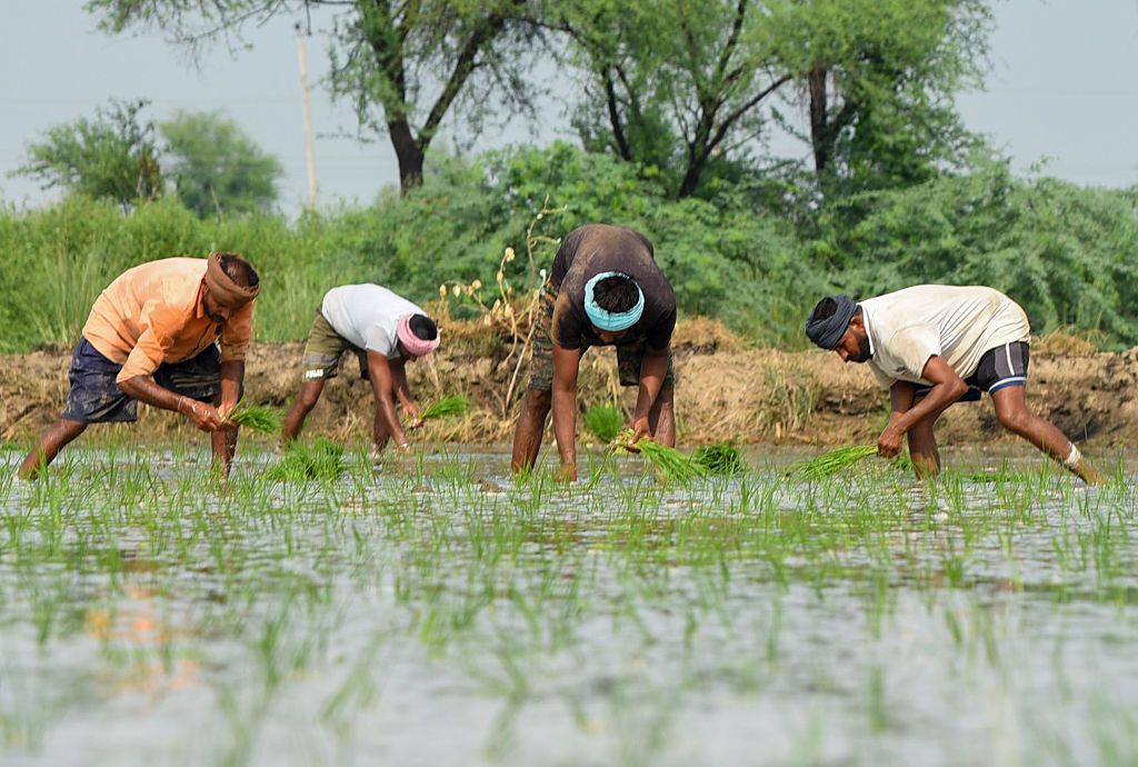 Agriculture Infrastructure Fund: Huge push to India’s agri infra