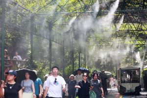 Chongqing residents seek shelter as heatwave hits China's southwest