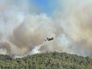 France's biggest wildfire since 1949 moving more slowly but not yet under control
