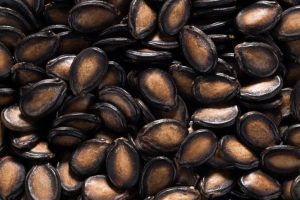 Why the egusi? A Nigerian melon seed's journey into space