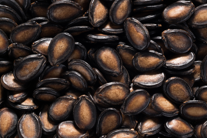 Why the egusi? A Nigerian melon seed’s journey into space
