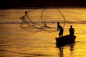 India's fisheries surge 104% in a decade to 195 lakh tonnes, powered by PMMSY and modern tech