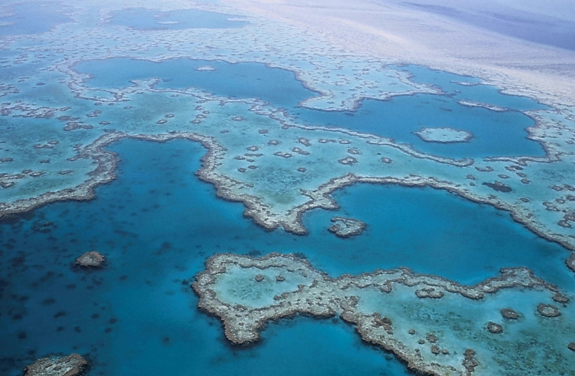 Australia’s Great Barrier Reef suffers record coral decline following mass bleaching