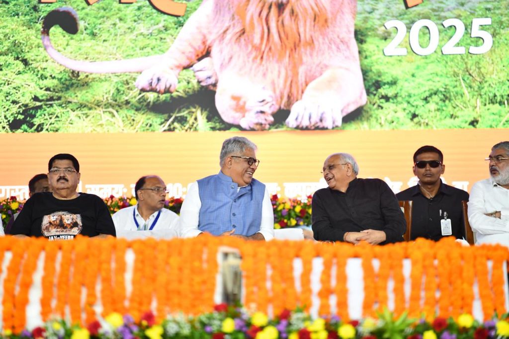 World Lion Day 2