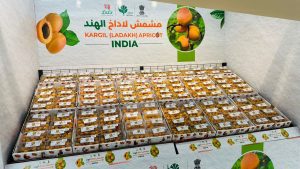 Kargil apricots make Saudi Arabia debut during India's 79th Independence Day celebration