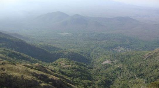 Efforts intensify to preserve India’s endangered languages, Toda tribe leads the way