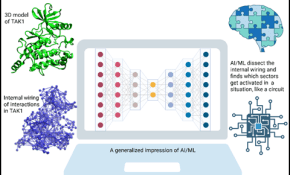 Bose Institute finds ‘Pseudo-Intelligence’ in immune protein TAK1