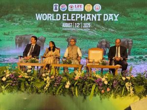 India marks World Elephant Day, reaffirms global leadership in conservation