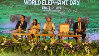 India marks World Elephant Day, reaffirms global leadership in conservation