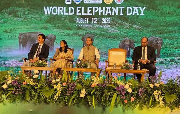 India marks World Elephant Day, reaffirms global leadership in conservation