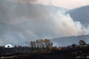 Volunteer firefighter dies as wildfires rage across heat-stricken Spain