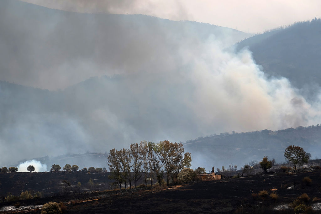 Volunteer firefighter dies as wildfires rage across heat-stricken Spain