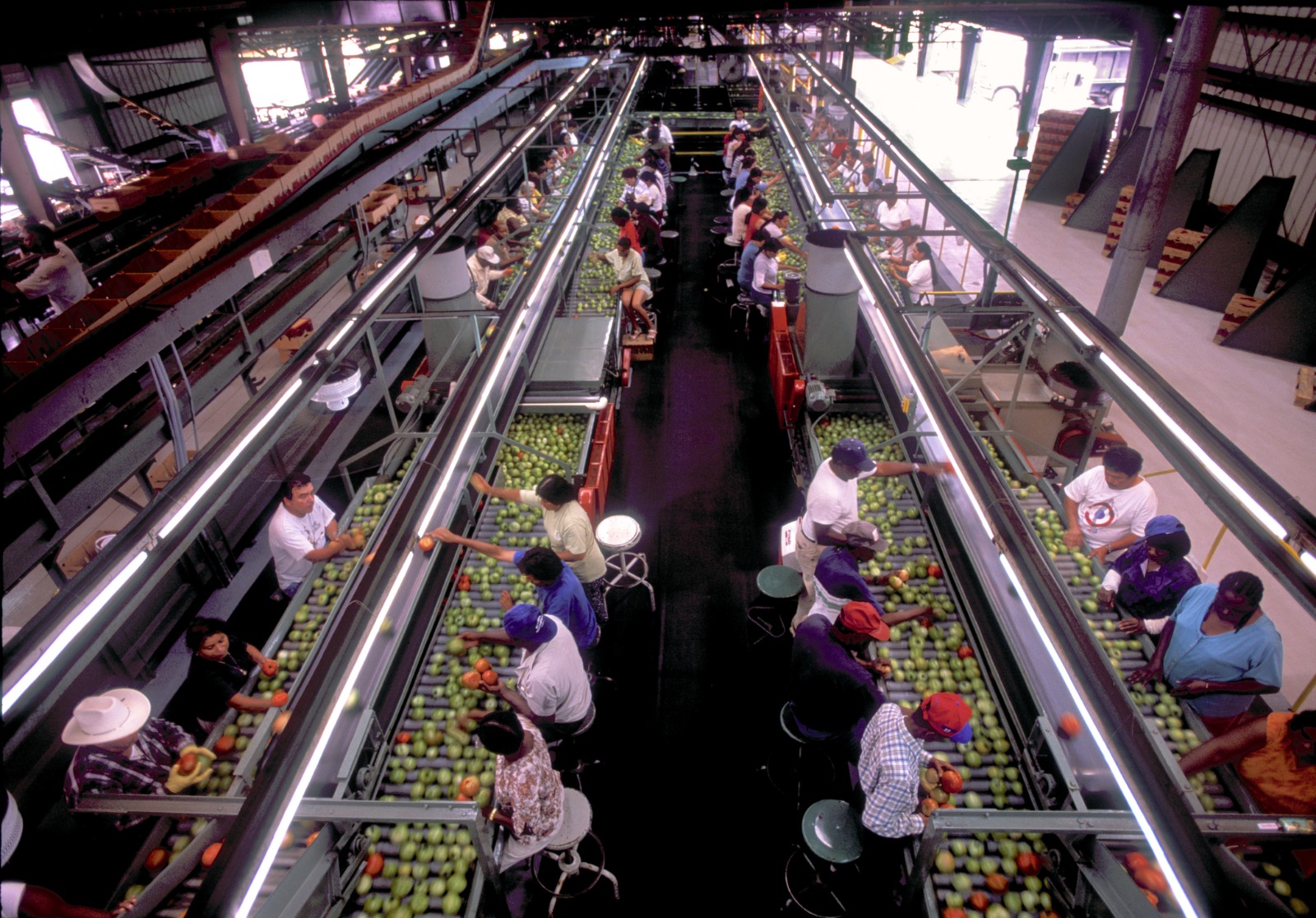 PMFME: Catalysing the ‘Vocal for Local’ food processing revolution