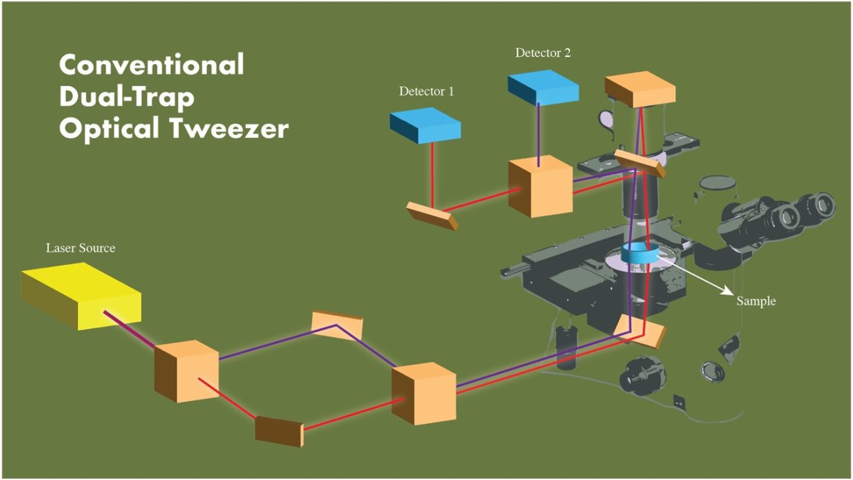 Indian scientists develop advanced dual-trap optical tweezers to boost research in biology, medicine and nanoscience
