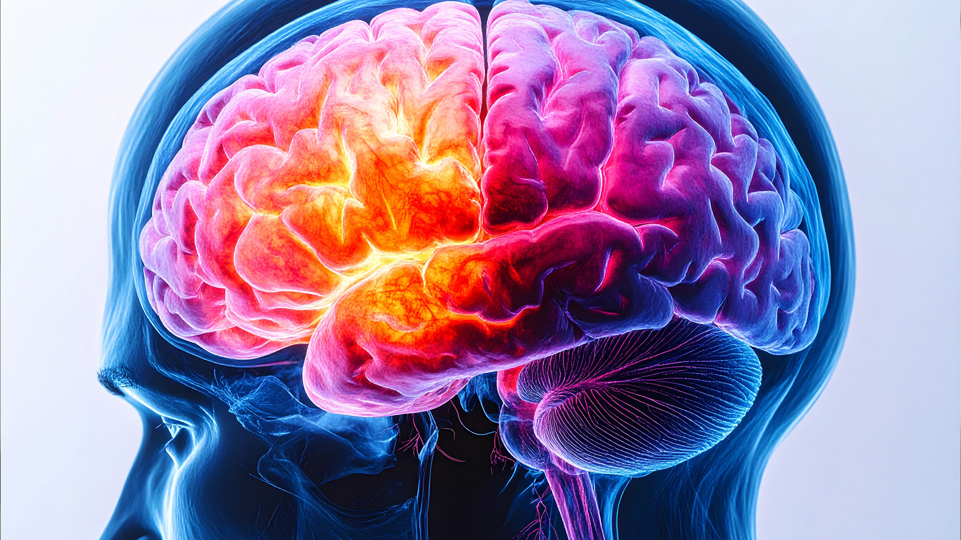 Link between vascular disease, dementia risk overlooked: study